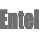Hersteller: Entel