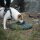 Savotta Water Carrying Bag Wassersack 10 Liter