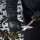 M-Tac Winter Lederhandschuhe