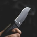 Gerber StrongArm Serrated Edge Kampfmesser 420HC FullTang Edelstahlklinge