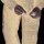 UF PRO Striker XT GEN.3 Kampfhose - Combat Pant