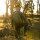 5.11 Skyweight 36L Pack Rucksack