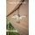 Klarus CL2 Universal Campinglaterne Notfallleuchte Forest Green