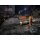 Fenix TK20R UE SFT70 LED Taschenlampe