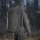 M-Tac Rucksack Gen.II Elite Gross