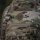M-Tac Rucksack Large Gen.IV Elite  Multicam