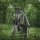 M-Tac Poncho – Taktisches Regenponcho