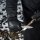 M-Tac Winter Lederhandschuhe